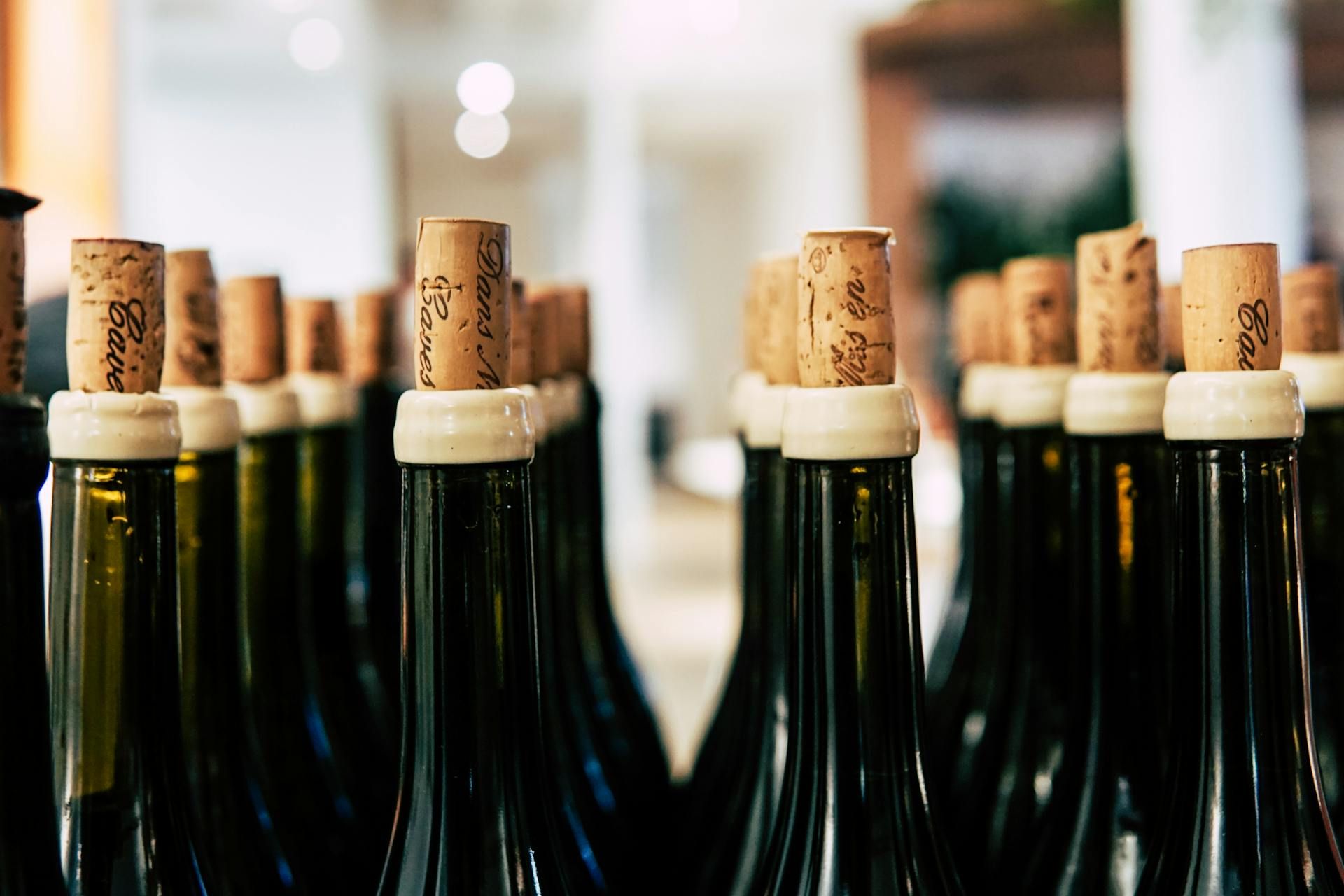 5 Features That Define the Best Pinot Noir.jpg