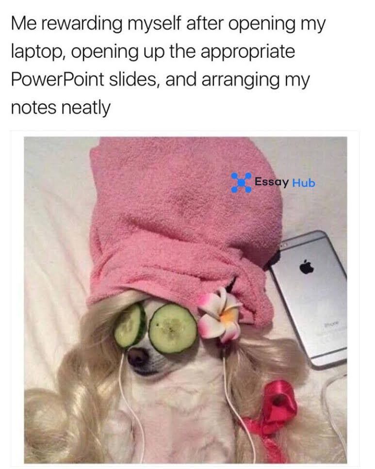 College Memes That Totally Nail Student Life (20).jpg