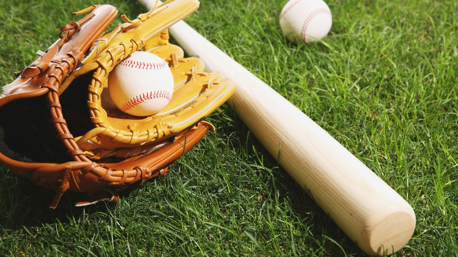 From Diamond to Doorstep Logistics Innovations Transforming Baseball E-Commerce (2).jpg