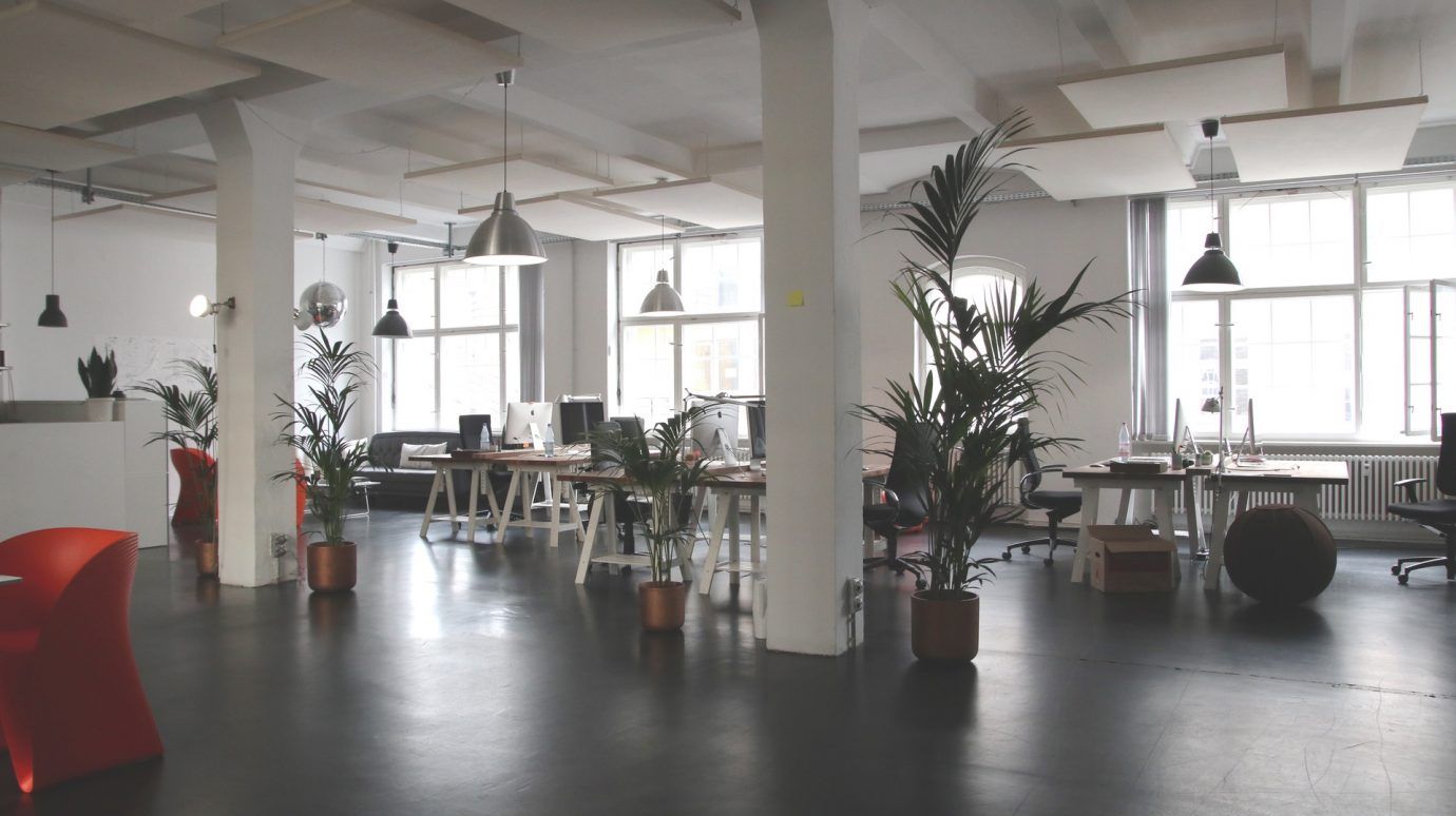 Plants in the office havebeen shown to improve productivity