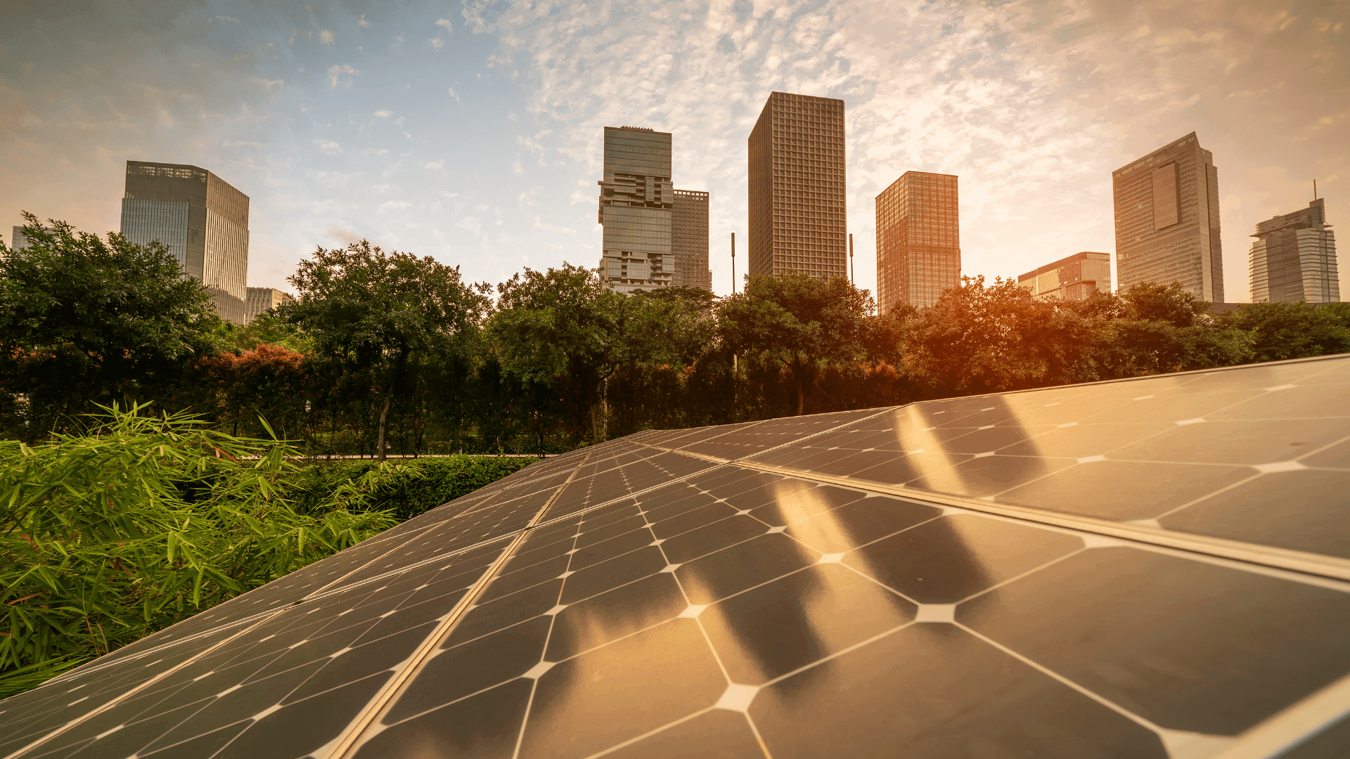 How Smart Cities Are Leading the Charge in Renewable Energy Adoption (2).png