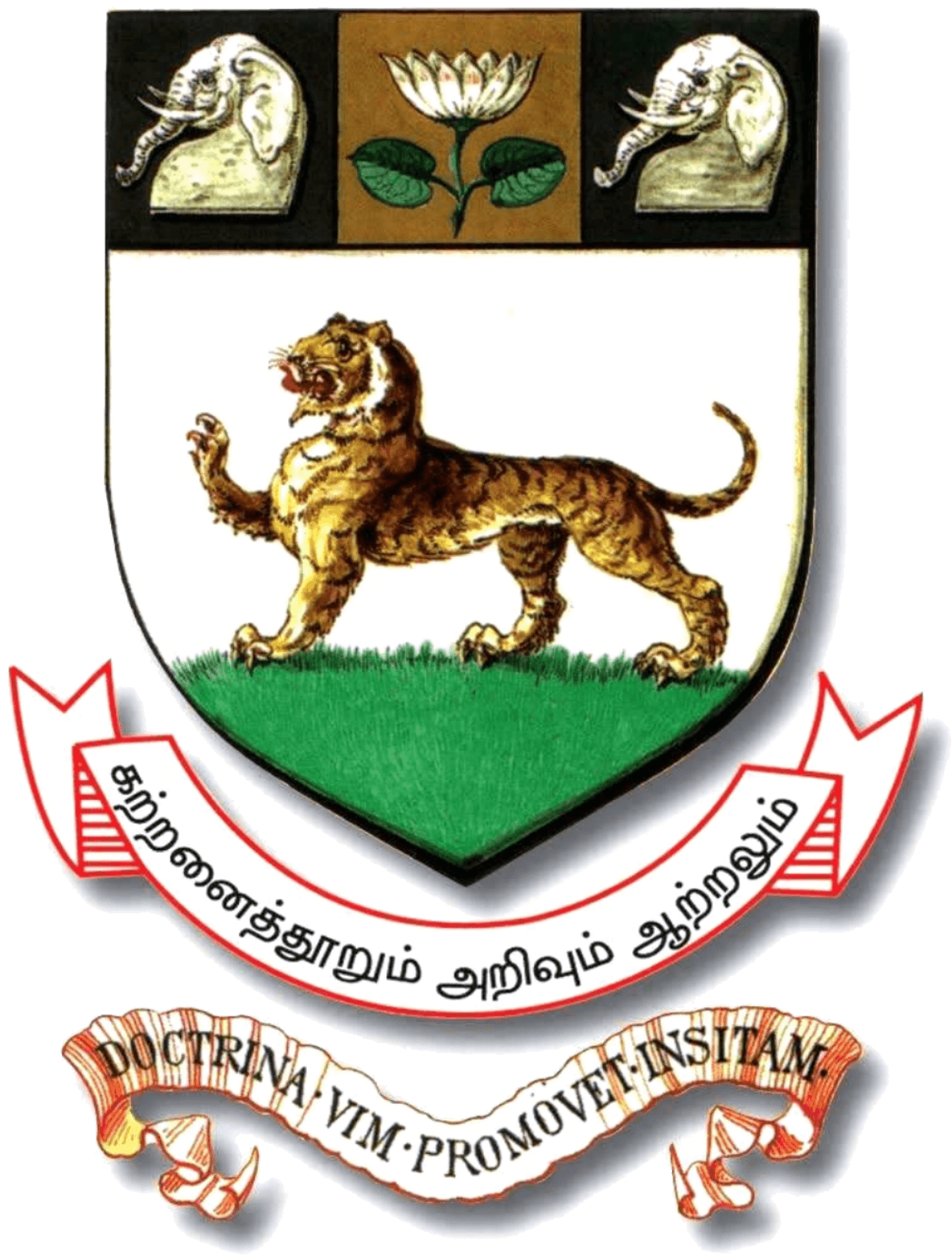 University of Madras