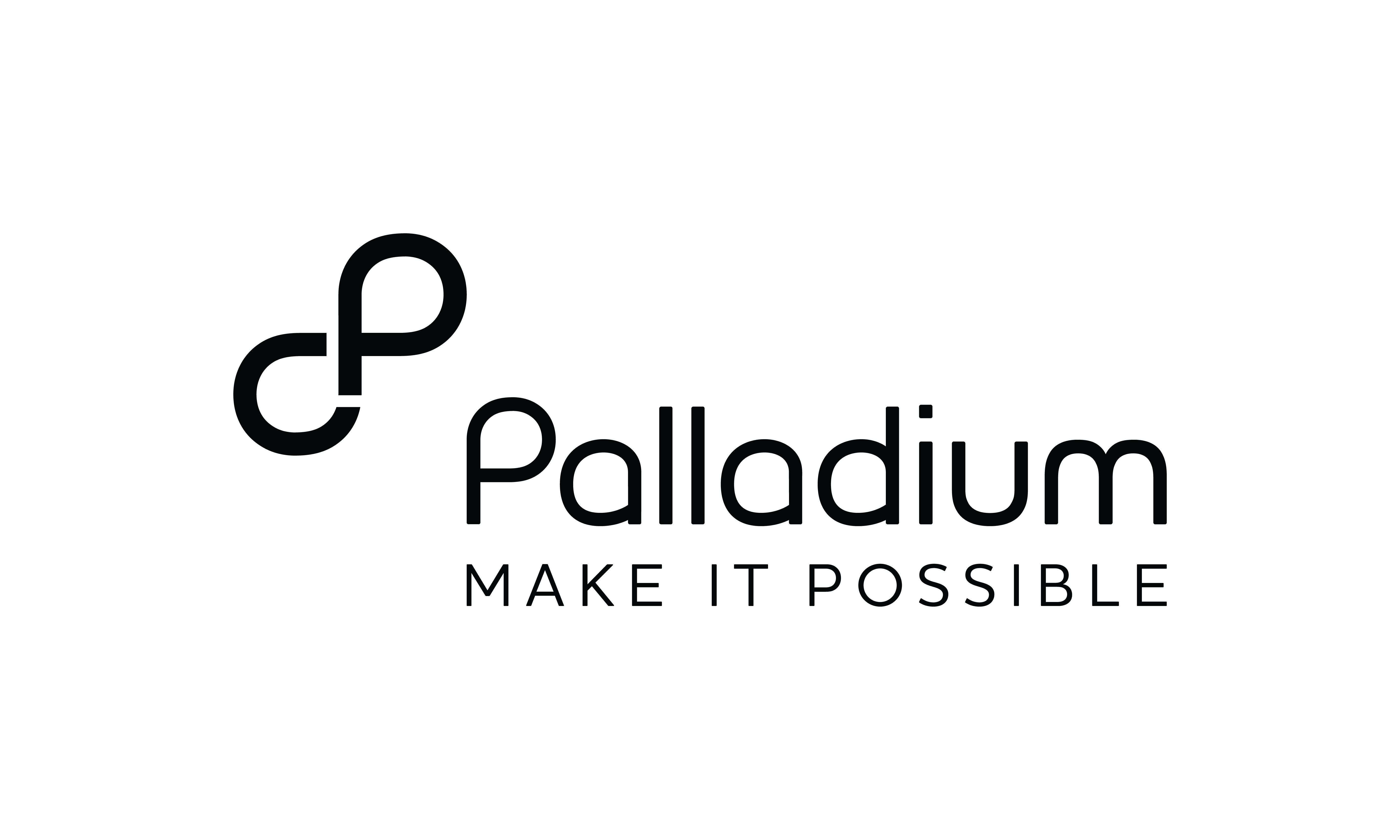 Palladium Enterprises Limited