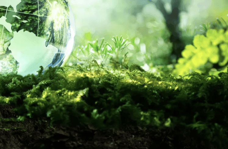 Sustainability