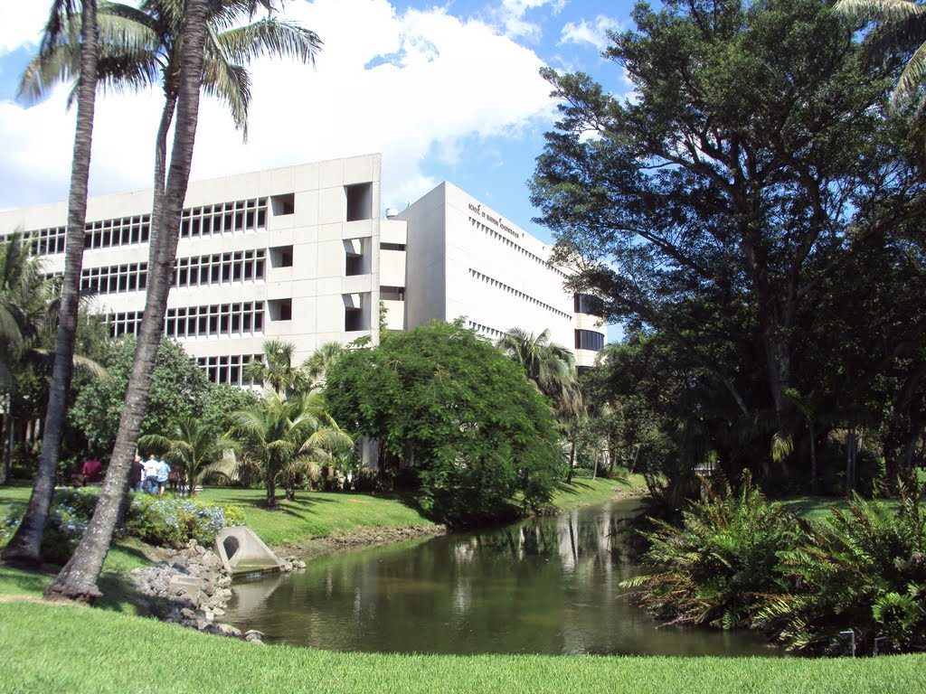 School of Business Administration, University of Miami – Miami, Florida