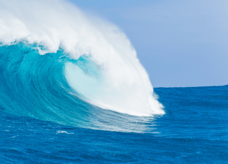 World of Waves, NFTs