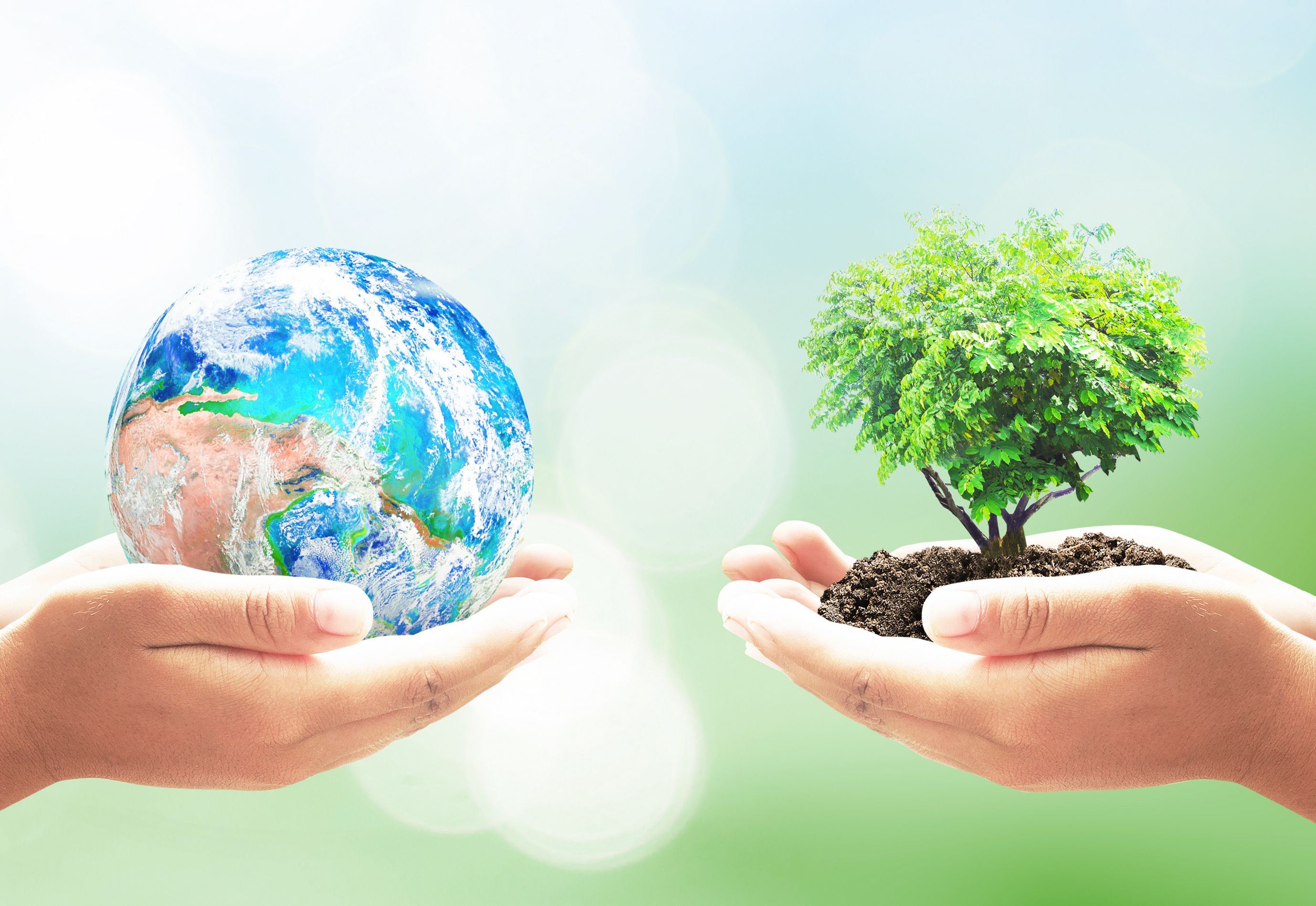 Earth Day 2020: Celebrate the 50th Anniversary at Home | The Old Farmer's Almanac