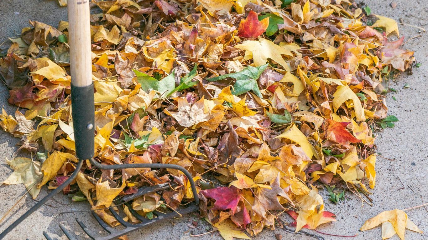 a pile of leaves and a rake on the ground