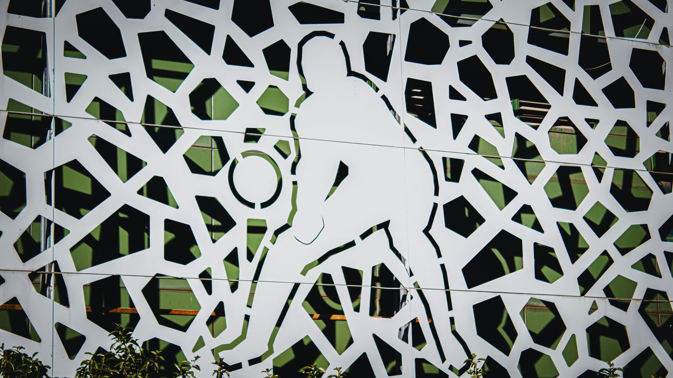 A picture of a man holding a tennis racquet